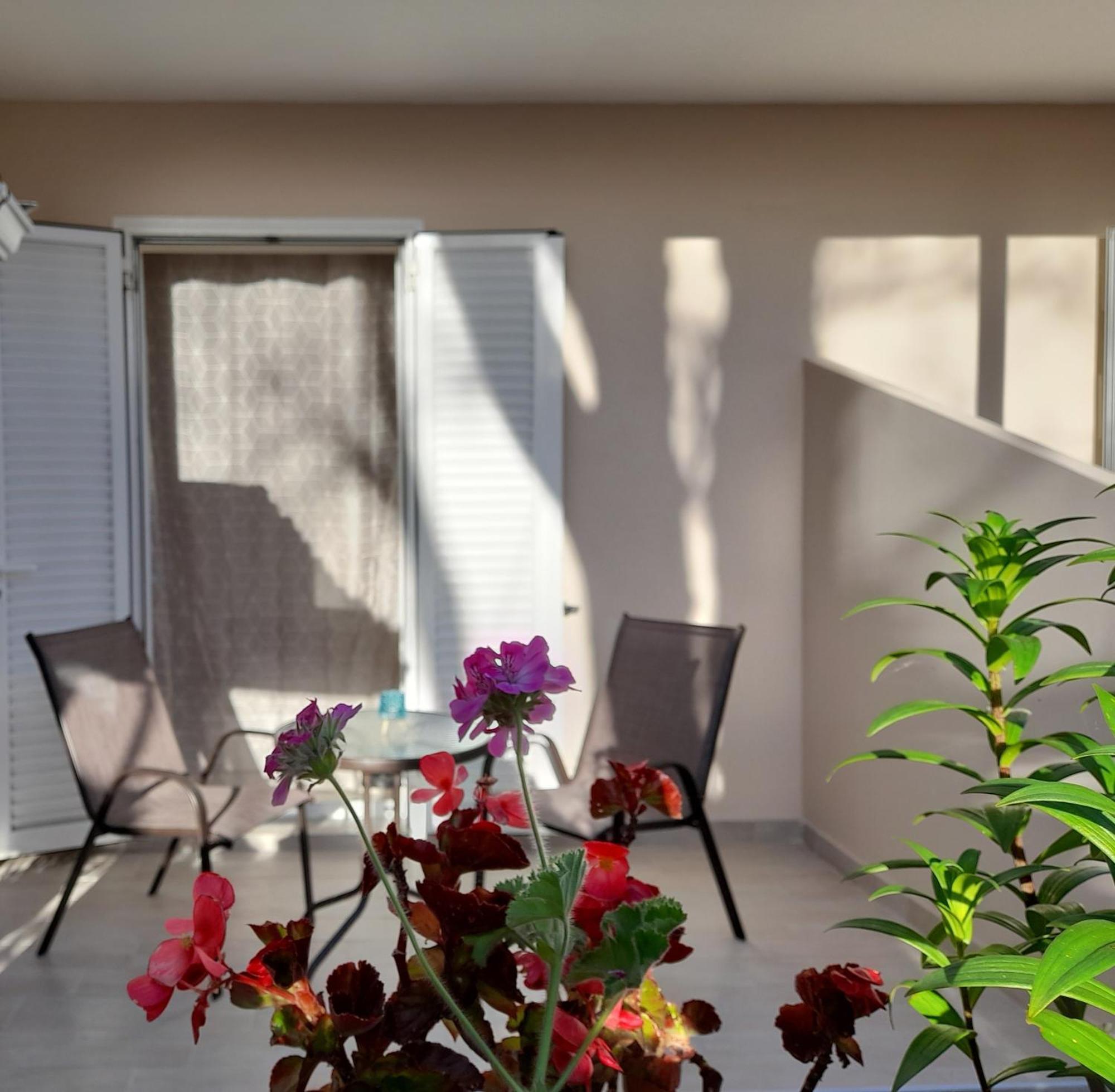 Sun & Sea Appartement *